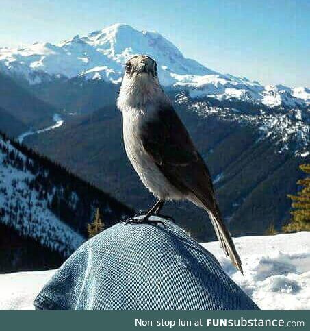 A bird landed on my leg and let take this sweet photo before flying away