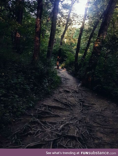 This hiking trail was pretty neat looking