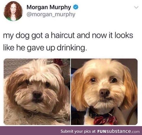 "My name is Dog, and I am an alcoholic."