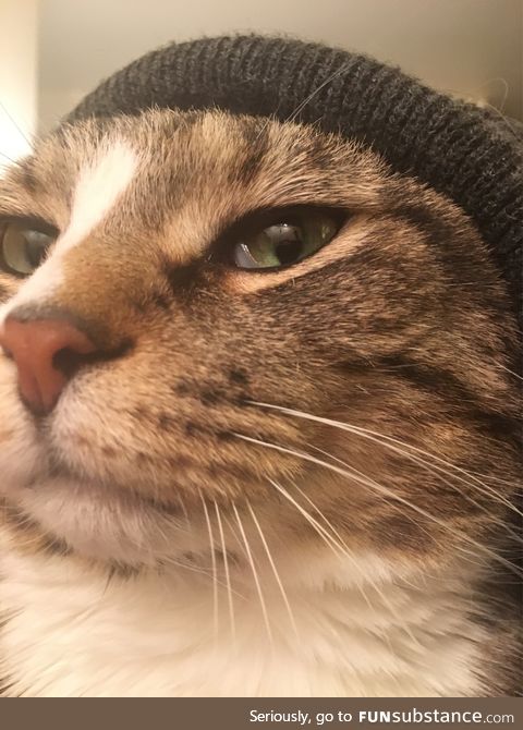 Handsome Boi in Beanie