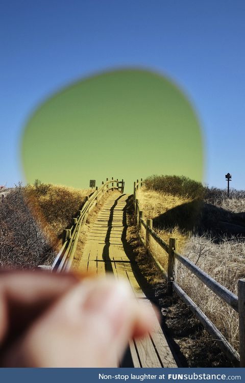 My sunglasses broke while at the beach. Thought this picture turned out cool though!