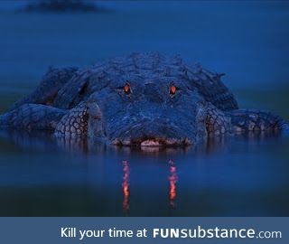 Aquatic Demonic Crocodile