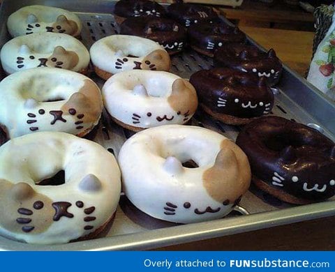 Kitty donuts