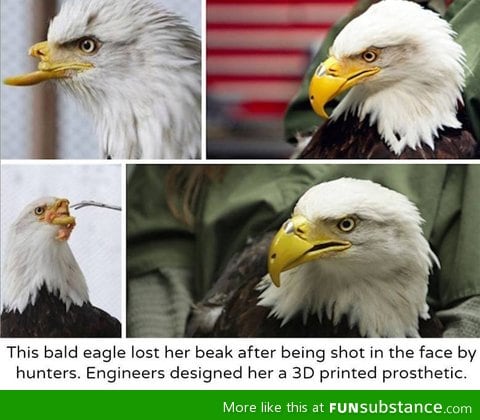 3D printed beak