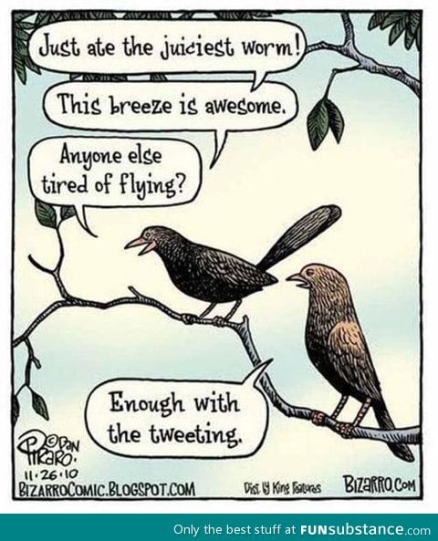 Bird tweeting