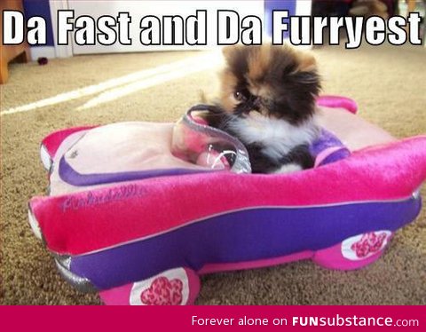 The fast and the furriest