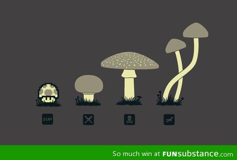 Know your mushrooms