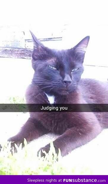 Every time my cat sees me n*ked