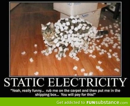 Cats and Electricity