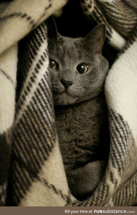 Cosy and cute