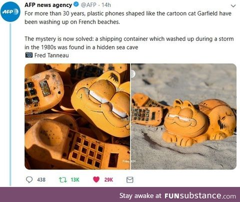 Cursed garf items