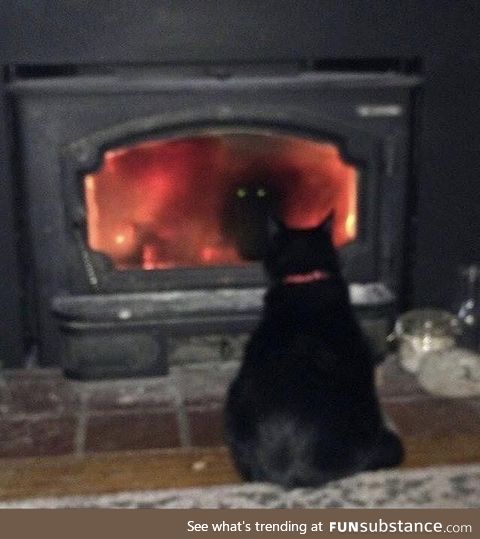 I think my cat is trying to summon a demon!