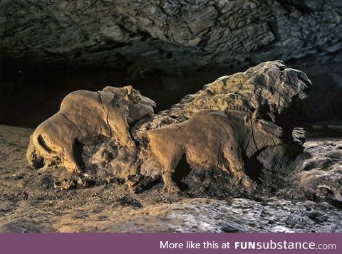 15,000 year old Bison sculpture found in Le Tuc d'Audoubert cave, France
