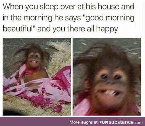 Good Morning