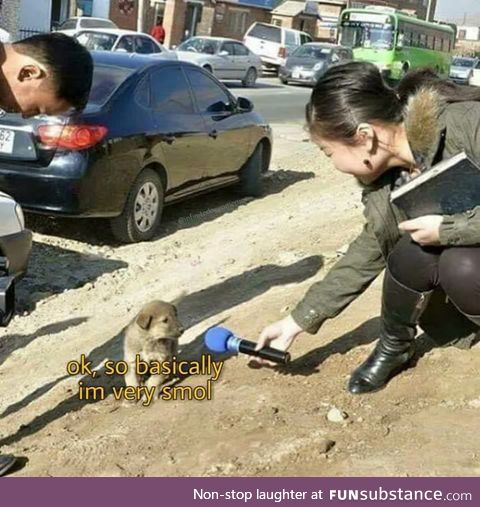 Very Smol