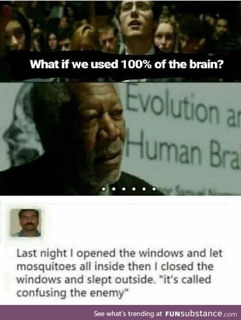 100% brain usage