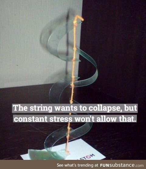 How I feel as a vet student