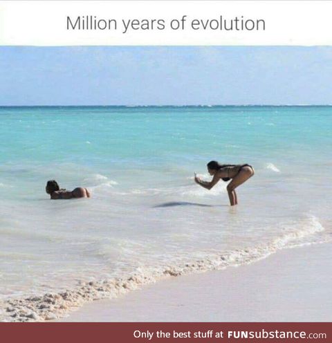 Evolution is amazing