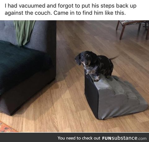 Someone please help poor little Fritz!