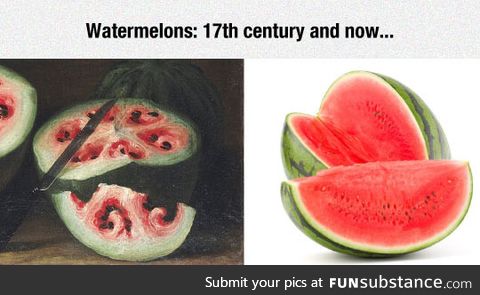 Wow, watermelon has really changed