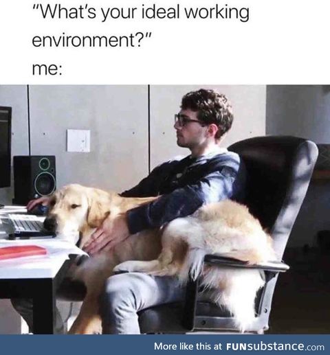 My ideal group project