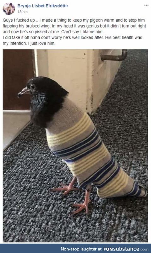 Pigeon sock