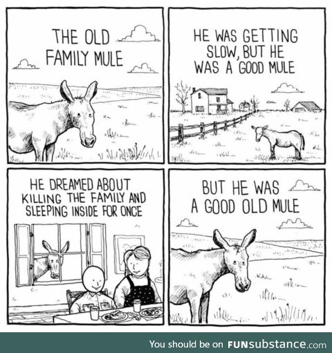 Good old Mule