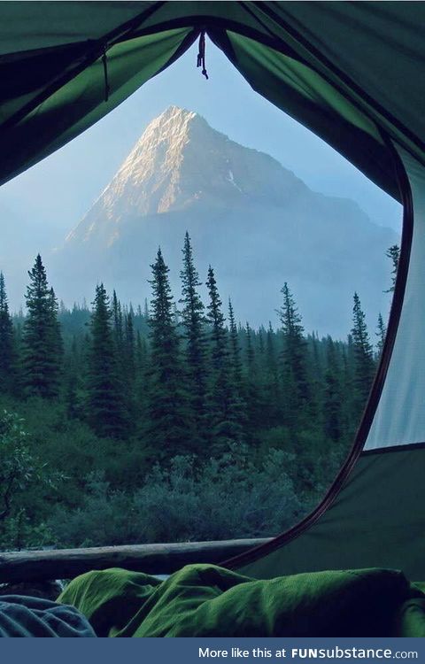 Lovely view from a tent