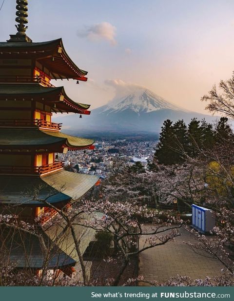 A photo I took from my recent trip to Japan