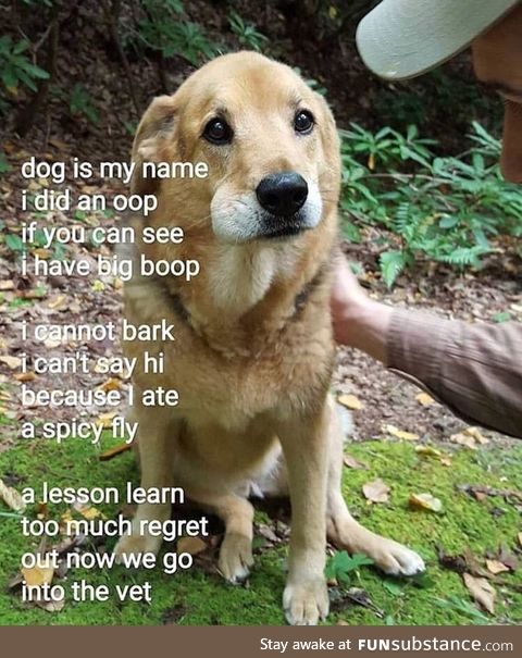 My name is doge