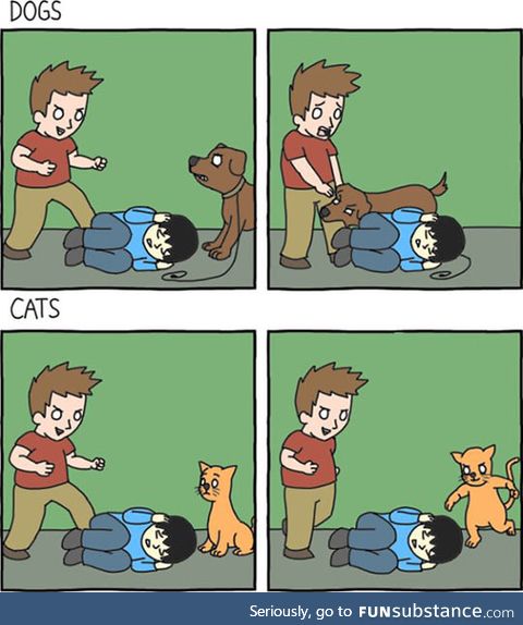 Dogs vs cats, the main difference