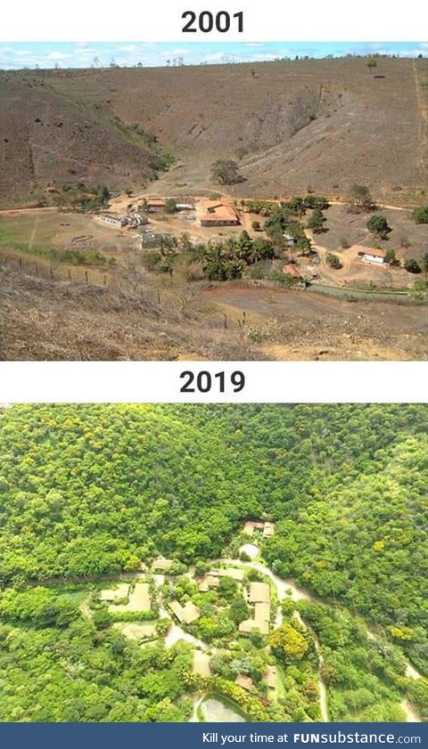 A couple decided to rebuild their deserted piece of land of 600 hectares in