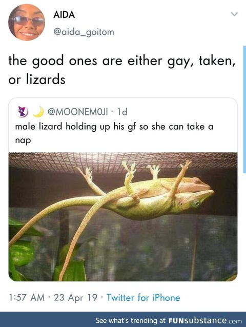 Hate when they turn out to be a lizard