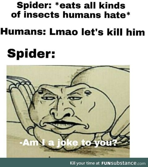Spiders are cool