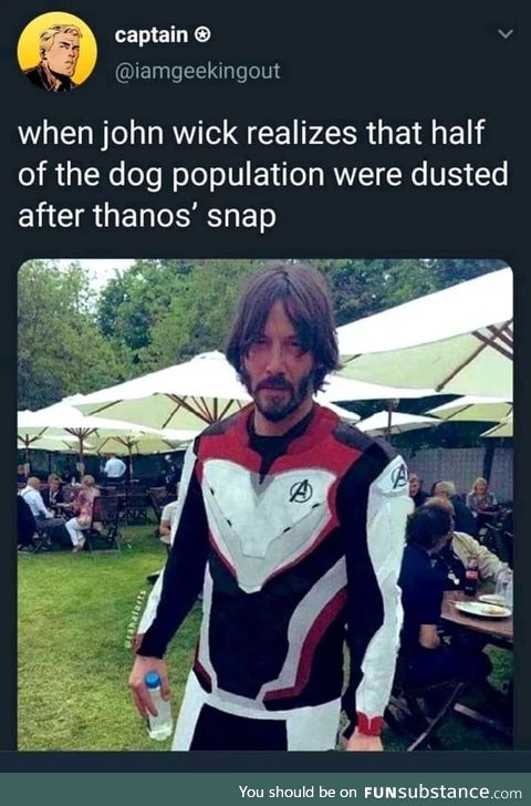 When he realized that thanos snapped half of the dogs population