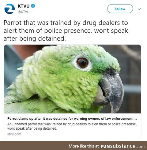 Polly's not a snitch