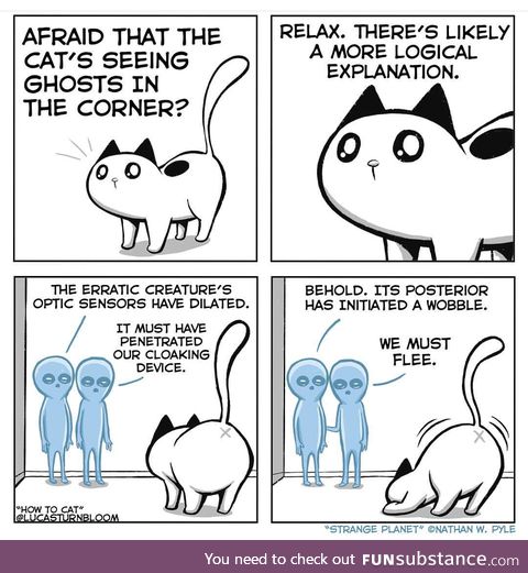 Cats already know they exist