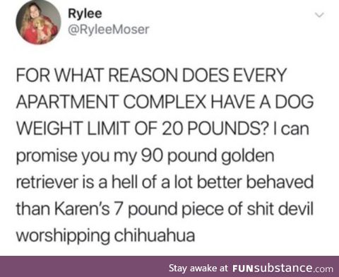 Dog weight limit