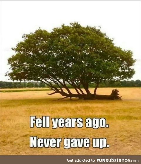 Never give up