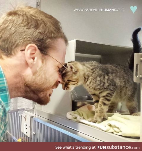 I adopted a kitten last week, and the shelter got a picture of our first meeting!
