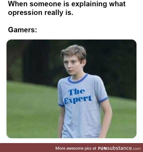 Gamers are oppressed