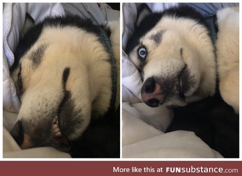 Before and after I accidentally woke him up with the camera sound