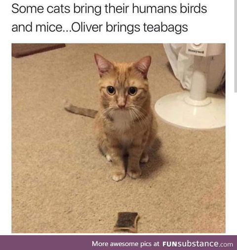 Oliver is such a disappointment, smh