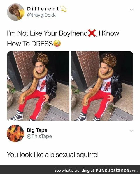 Bisexual squirel