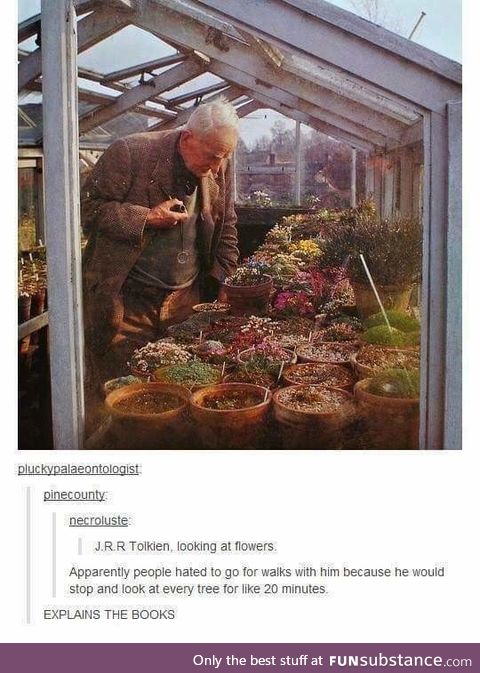It takes a long time to do anything with J.R.R Tolkien