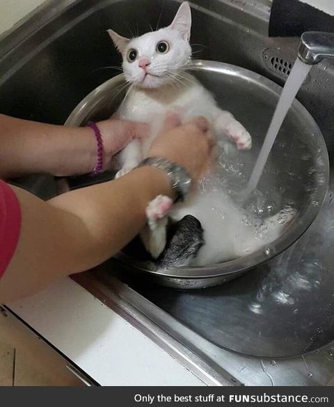 Are u gonna cook me hooman