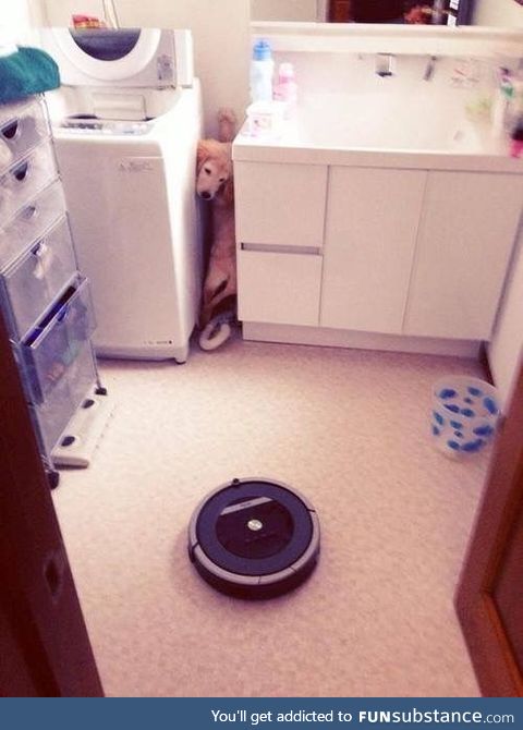 Roomba, the NOPE of the dog world.
