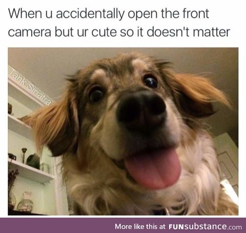Cute