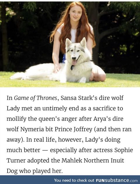 The Queen from the north and her adopted Dire wolf