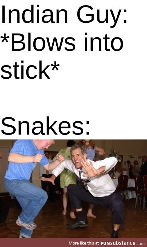 No snakes were harmed in the making of this meme